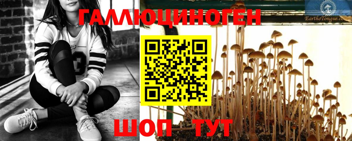 Псилоцибиновые грибы Magic Shrooms  Вход с VPN  Прокопьевск 